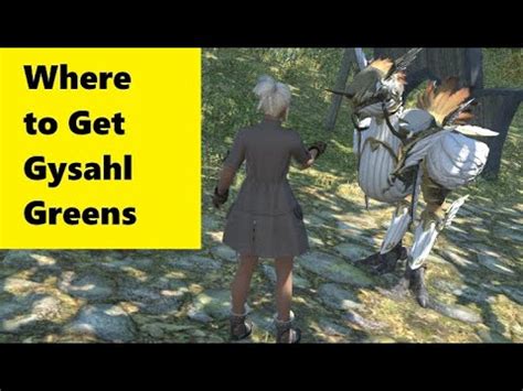 ff14 gysahl greens where to buy